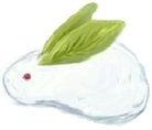 涼兎