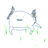 tr