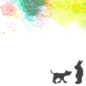 こぱん