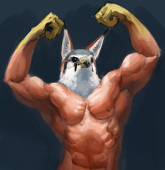 ナブランジャ