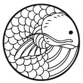 阿代鰉