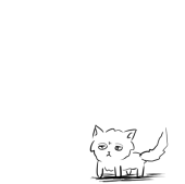 毛