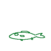 げん
