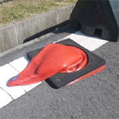 †かおるん†