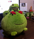 どんぐり