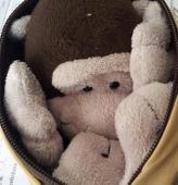 monkeyyan