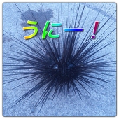 しゅががががー