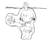 クリップ