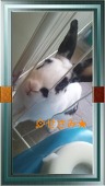 みんと