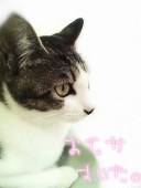 りたまる。