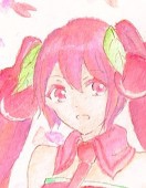 櫻椛