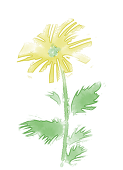CA企画