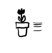 颯木スゲノ