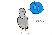 奏蘭