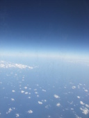 陽
