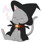 黒猫型