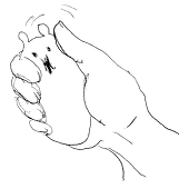 さきもり