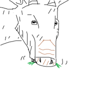 アノア