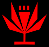六本洵