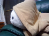 ふみ