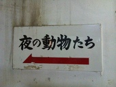 朝霧