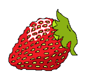 野苺 あくあ