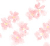 花見酒