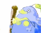 弧沙鮫(こささめ)