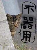 自分不器用ですから