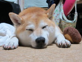 渡良瀬貴嗣