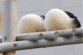 拾一