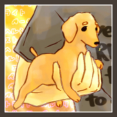 小麦