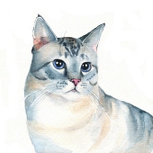 lemoxa