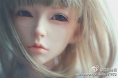 AMO