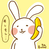 bunny8207