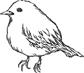 清丸