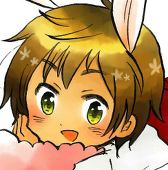 もちめぐ