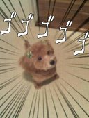 かわやん