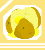 S.S.A