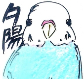 夕陽
