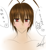 鷹.希王
