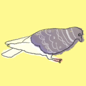 トリ