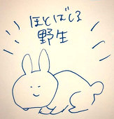 あさり