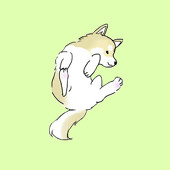 柴one