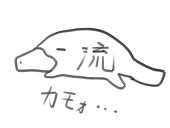 柚子
