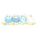 とりみち