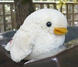 鳳梨凛