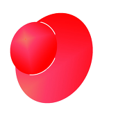 きむ