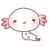 イル