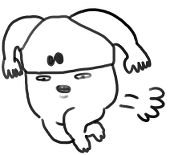 味噌入り